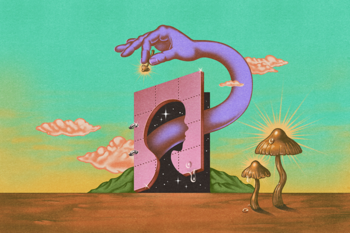 Moon Flip Microdose 400MG (LSD + Magic Mushrooms)