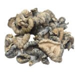 HEMPEARTH – Albino Stardew Mushrooms “NEW”