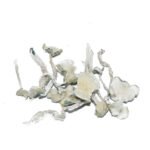 HEMPEARTH – Albino Teacher Mushrooms