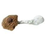 Amazonian Mushrooms (Premium)