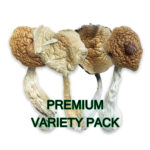 Variety Pack Premium #1