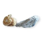 Trans Envy Mushrooms   Super Potent And Effective