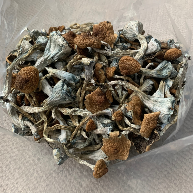 HEMPEARTH Treasure Coast