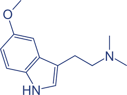 The Medical Potential of 5-MeO-DMT